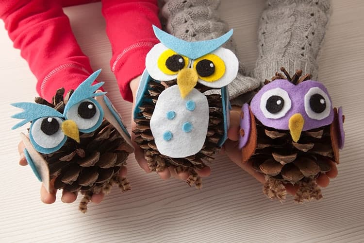 Felt Fabric Crafts