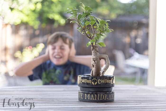 harry potter diy crafts