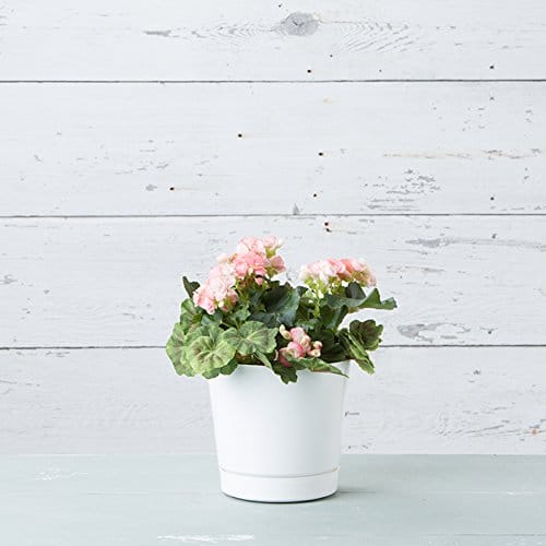 30 Blanks for Vinyl Projects And Where to Get Them