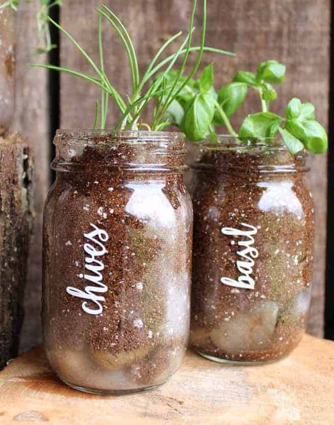 Mason-Jar-Herb-Garden