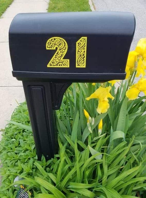 irises-and-mailbox