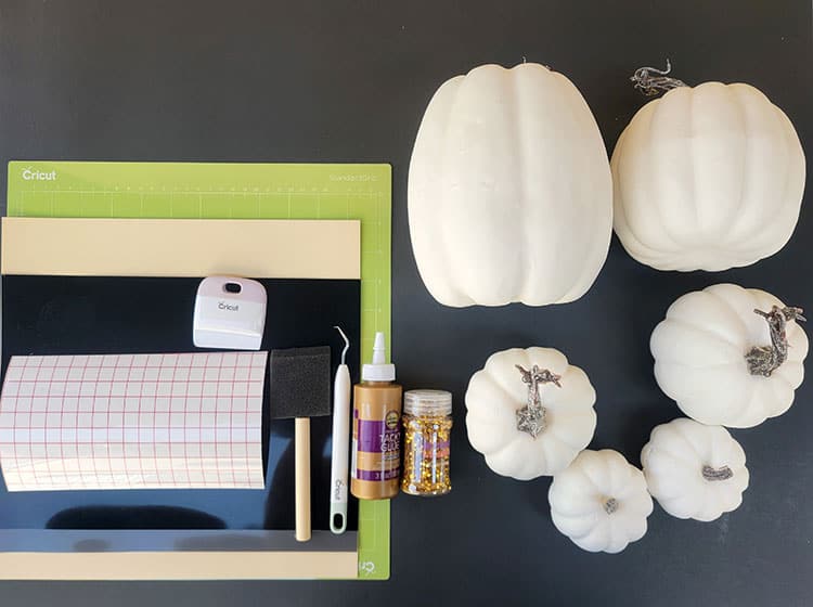 Cricut Pumpkin Supplies