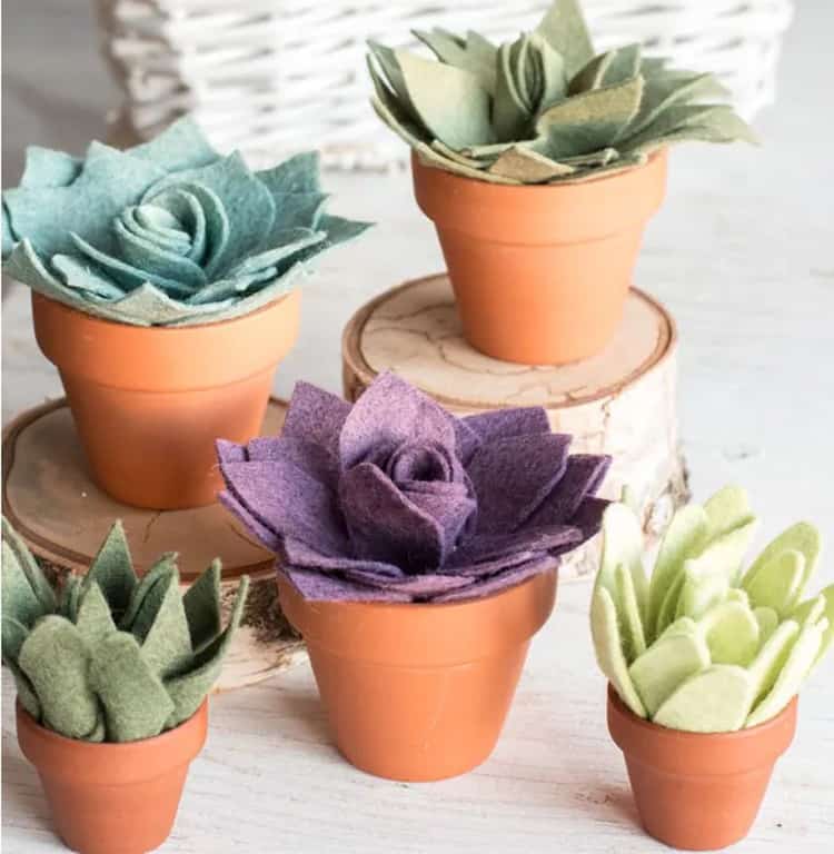 Felt succulents in pots