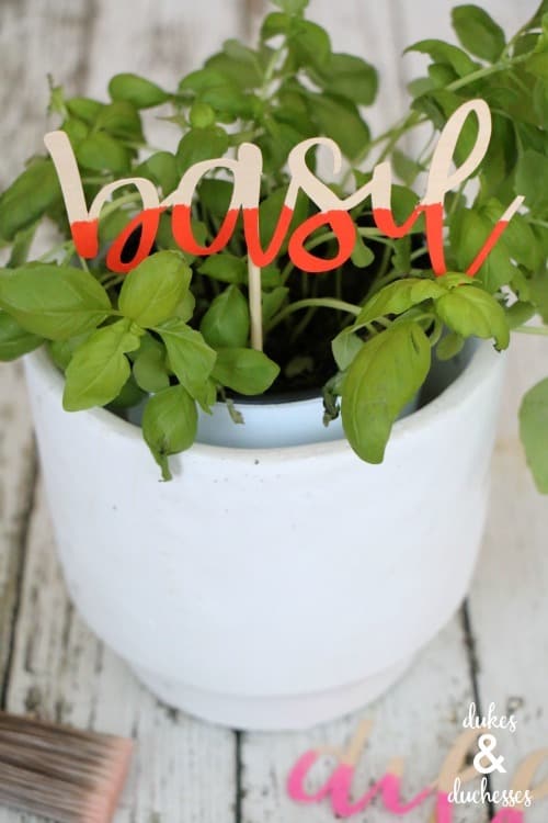 how-to-make-DIY-garden-markers-with-cricut