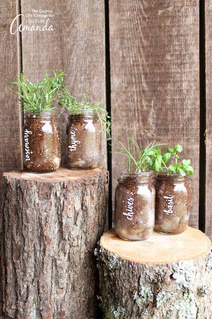 Mason Jar Herb Garden