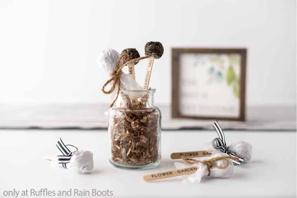 diy seed boms for gardens cricut craft