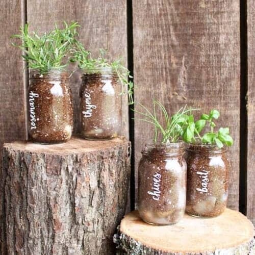 mason jar herb garden