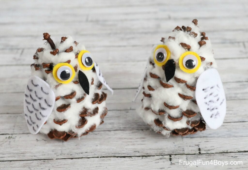 Adorable Pine Cone Snowy Owl Craft for Kids by frugal fun 4 boys