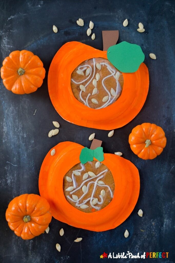 Learning about What’s Inside a Pumpkin Paper Plate Kids Craft by a little pinch of perfect