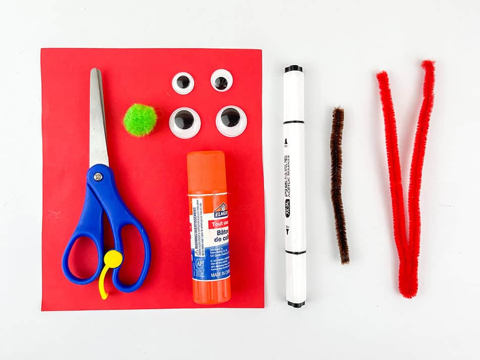 Pipe Cleaner Apple Craft with Worm for Kids Materials