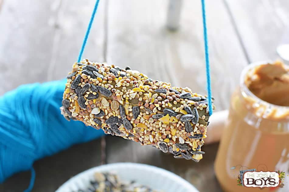 Toilet Paper Roll Bird Feeder by thejoysofboys