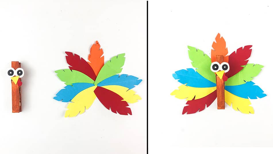 Turkey Clothespin Thanksgiving Craft Feather Completion