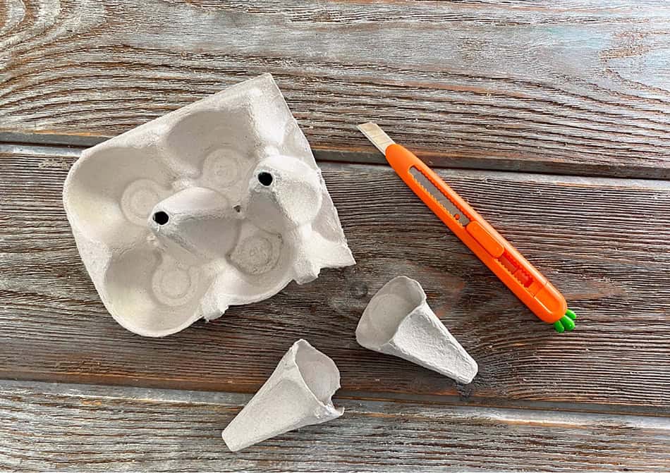 cutting egg carton for ice creams