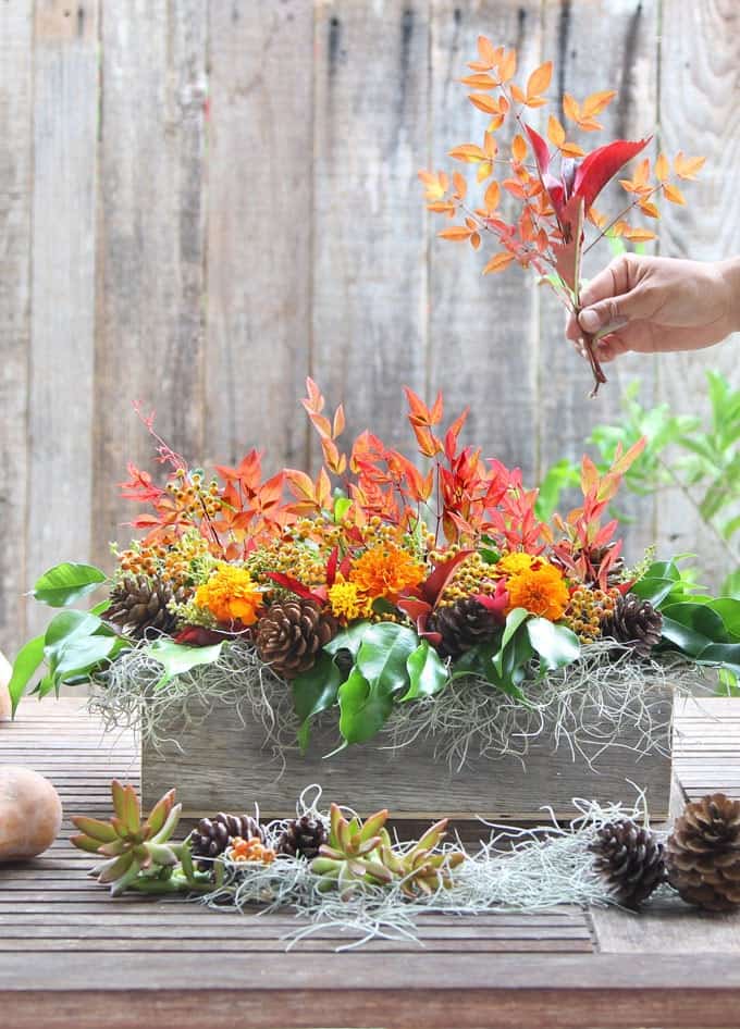 DIY Fall Thanksgiving Centerpiece by a Piece of Rainbow