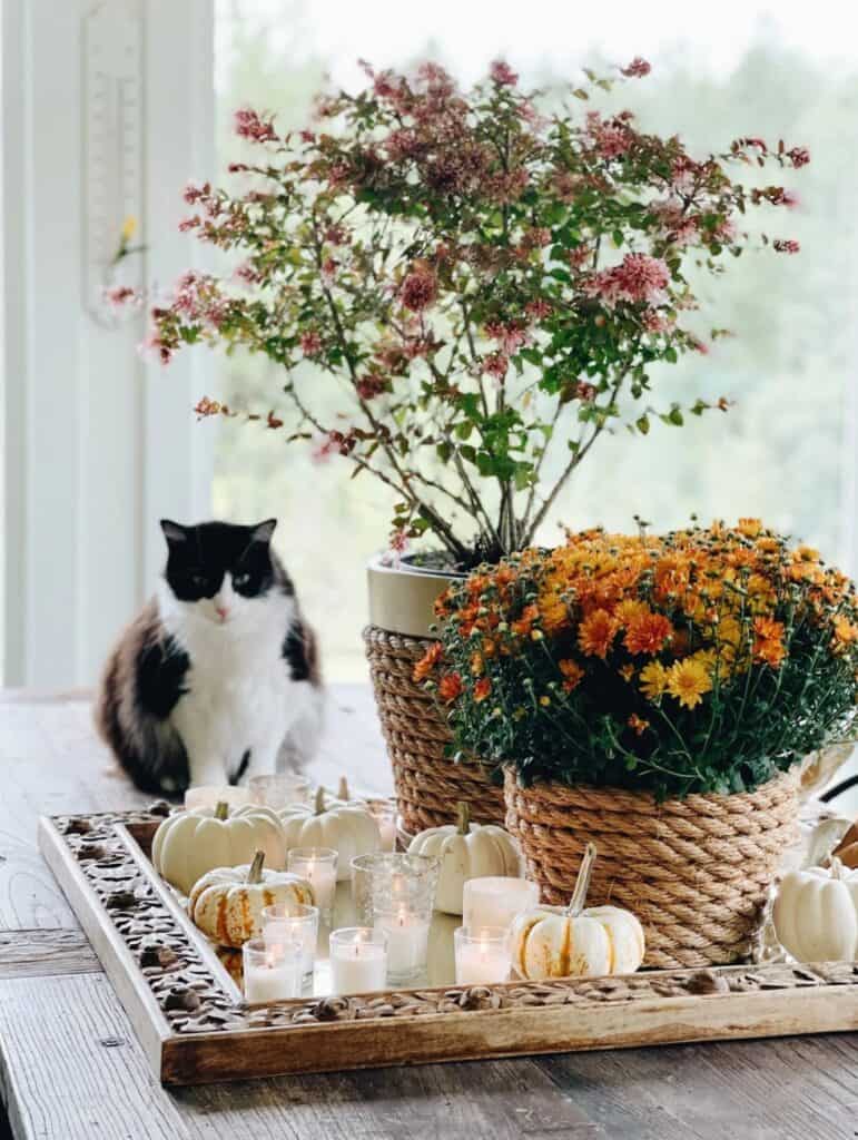 Farm-Style Fall CenterpiecebyAzure Farm Life