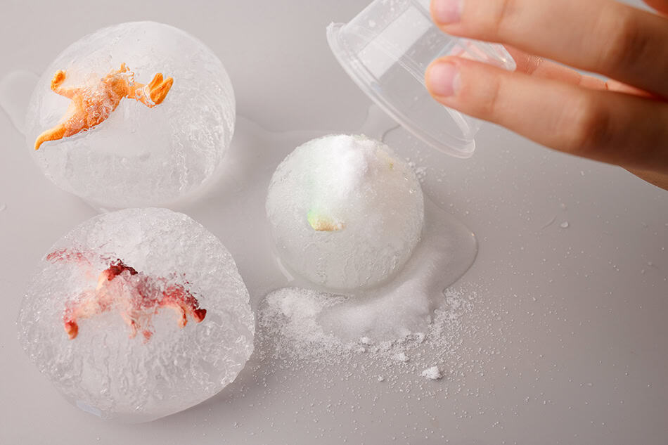 Frozen Dinosaur Eggs with Salt