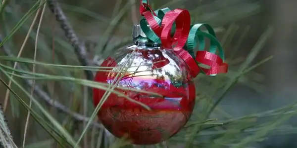 Homemade Christmas Ornaments Collection by Kids Activities Blog