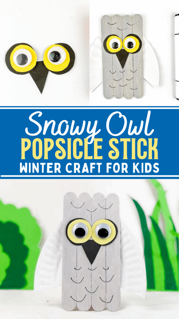 DIY Easy Popsicle Stick Snow Owl Winter Craft for Kids to Make