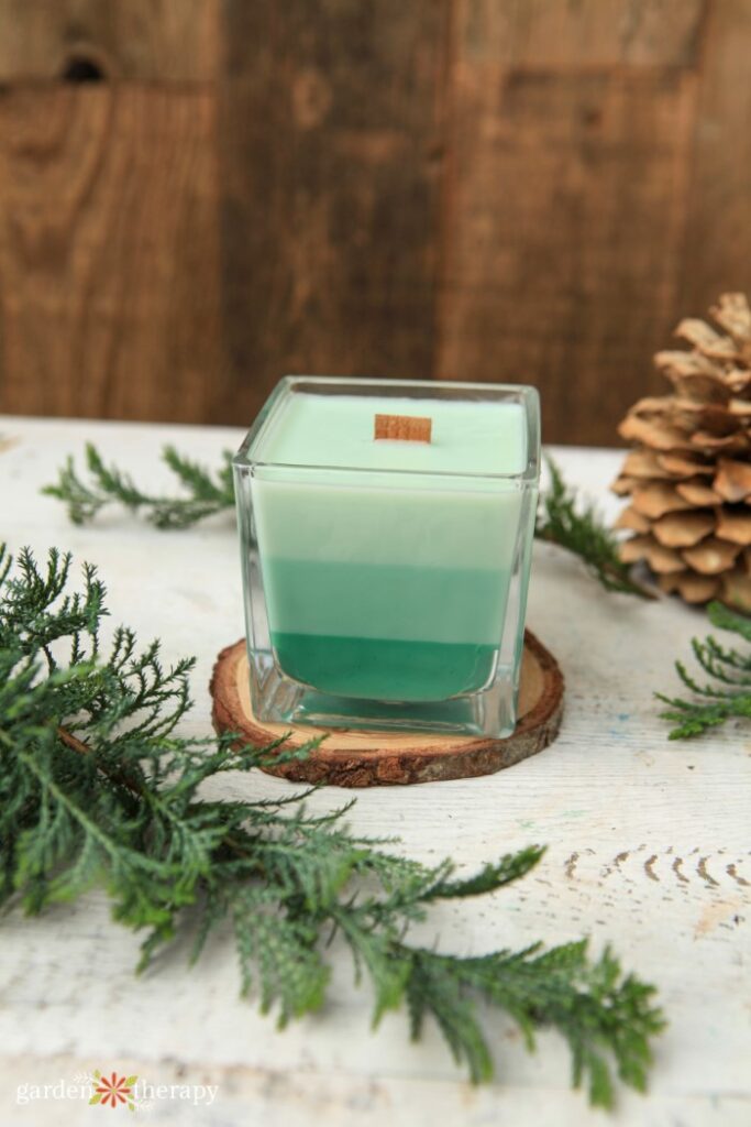 Evergreen Candle Recipe by Garden Therapy