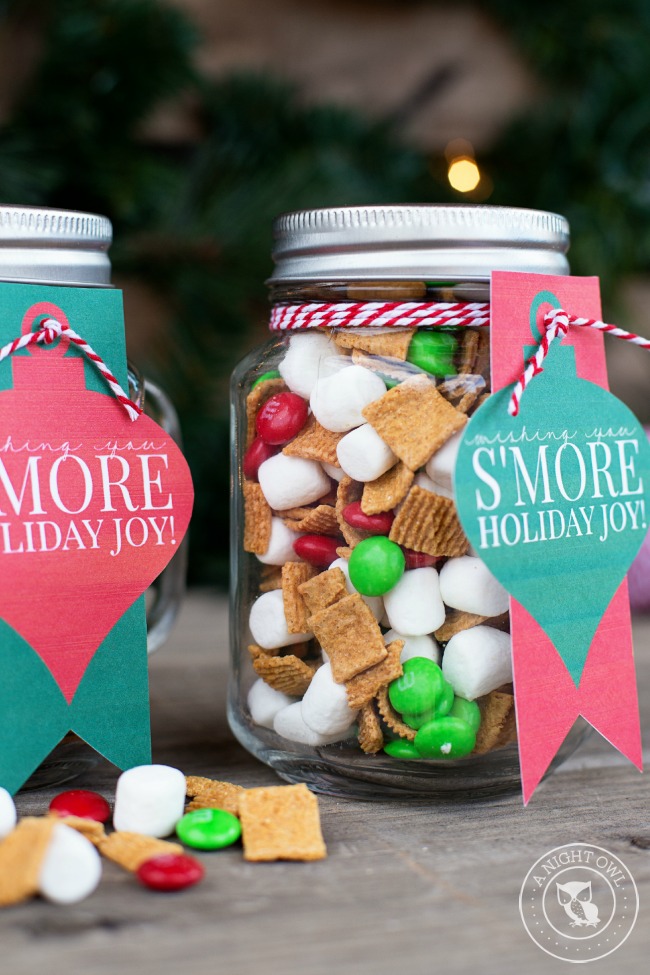 S’mores Mason Jar Gifts by a night owl blog