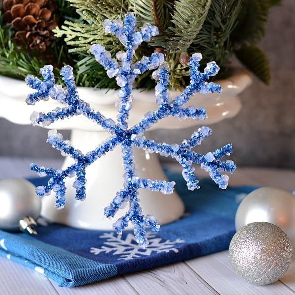 Borax Snowflake Crystals by Growing up Gabel