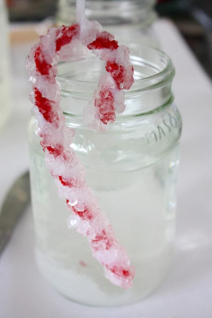 Christmas Crystal Candy Canes Science Activity by Little Bins for Little Hands