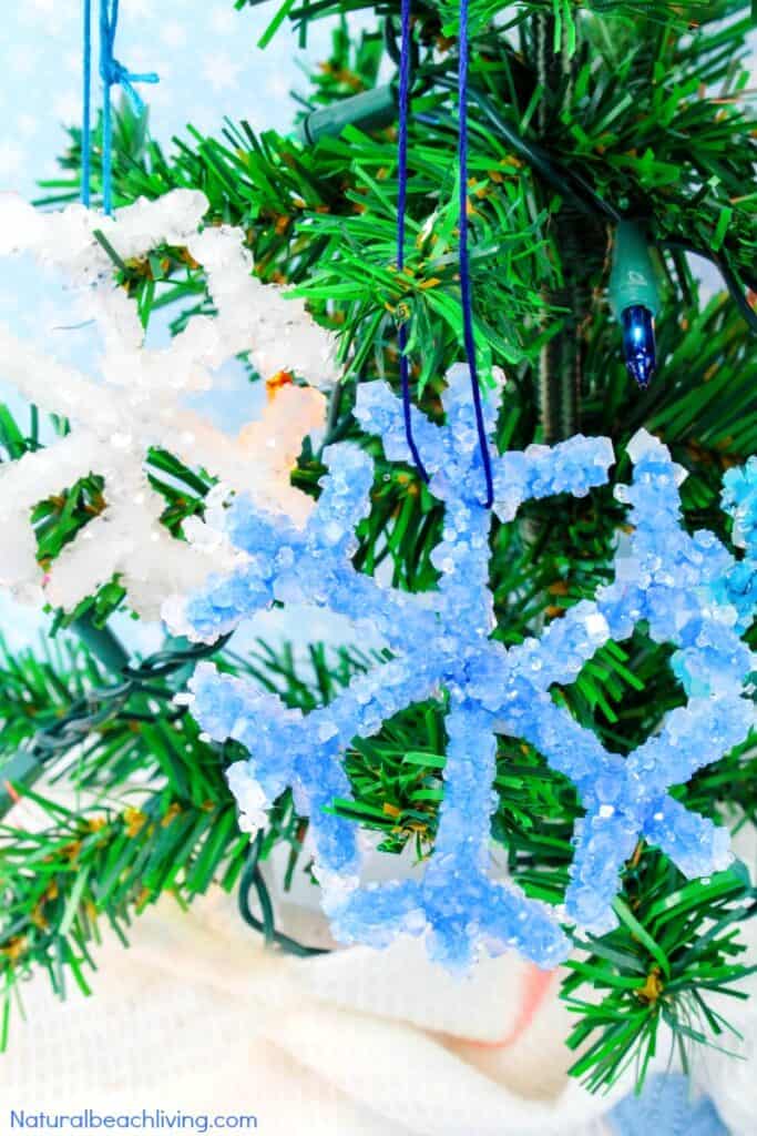 Crystal Snowflake Ornaments Science Craft by Natural Beach Living