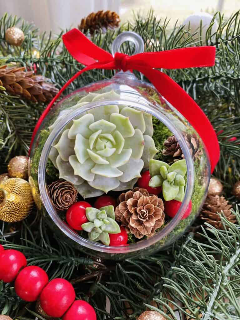 DIY Succulent Ornament by The Succulent Sprite
