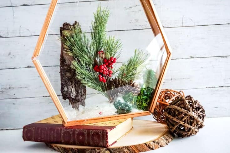DIY Suncatcher Terrarium by Soap Deli News
