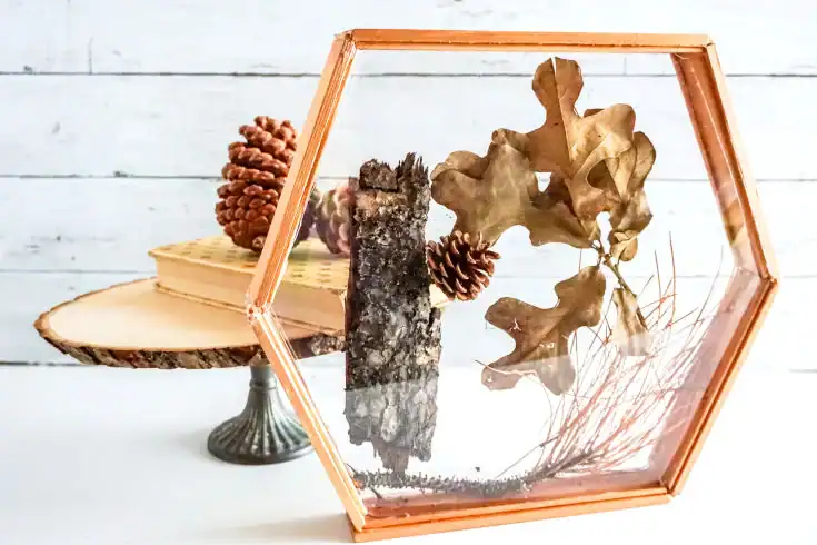 DIY Suncatcher Terrarium by Soap Deli News