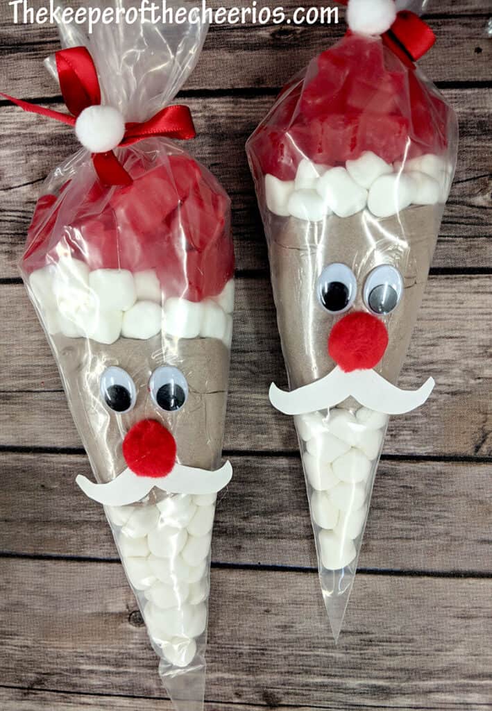 Hot Cocoa Santa Bags